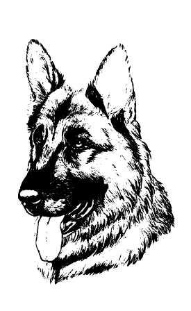 Вівчарка 2